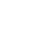 Mister Tree